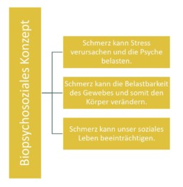 Praxis, Sophia Göhrig, Hauneck, Rotensee, Unterhaun. Bad Hersfeld, Physiotherapie, Heilpraktikerm Schmerzen